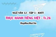 Soạn bài Thực hành Tiếng Việt trang 26 Ngữ văn 12 Kết nối tri thức